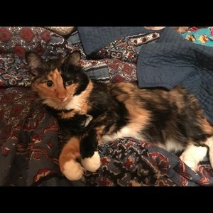 Meet your Posher, Ella